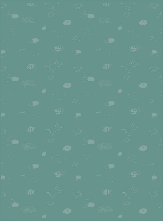 背景2.png