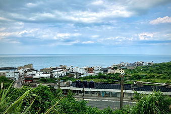 草里風景.jpeg