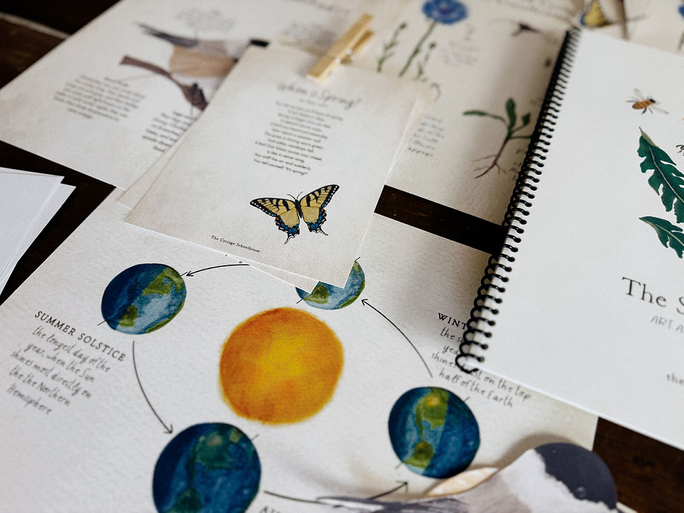 Thumbnail: Diagram of sun and earth with papers and butterfly; Spring Study Guide