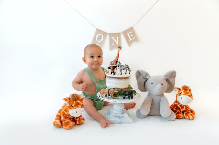 cake smash session on white backdrop with animals around baby and on cake for a timeless cake smash session with jc photography and design 