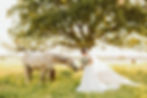 Golden hour bridal portraits at Classic Oaks Ranch, DFW Bridal shoot locations, best wedding photographer in Fort Worth, rustic wedding venue