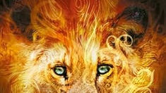 The Chronicles of narnia