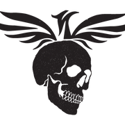 Logo de Skulls and Spirits