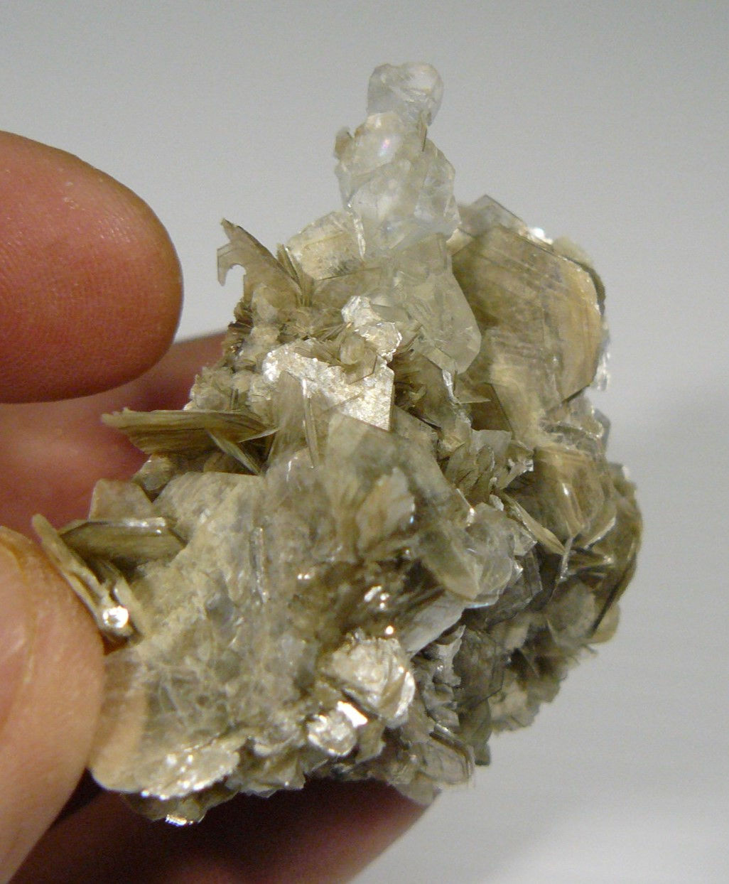 Fluorite on Muscovite