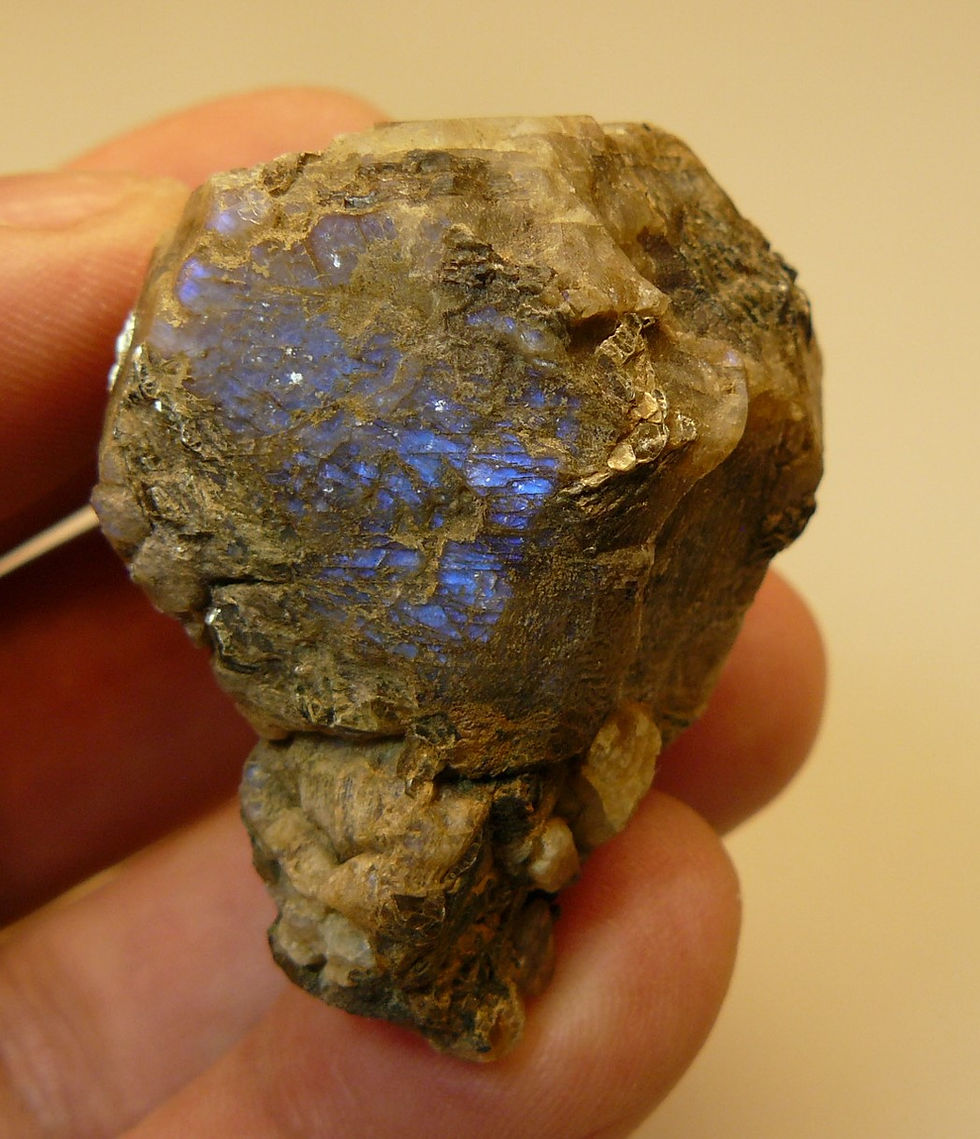 Thumbnail: Albite (var. Peristerite), Phlogopite, Fluorapatite, and Diopside