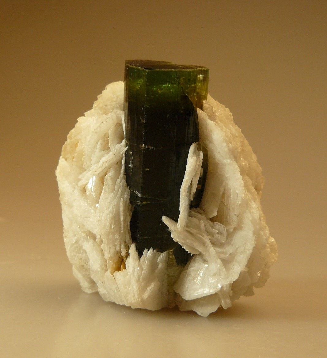 Tourmaline in Feldspar
