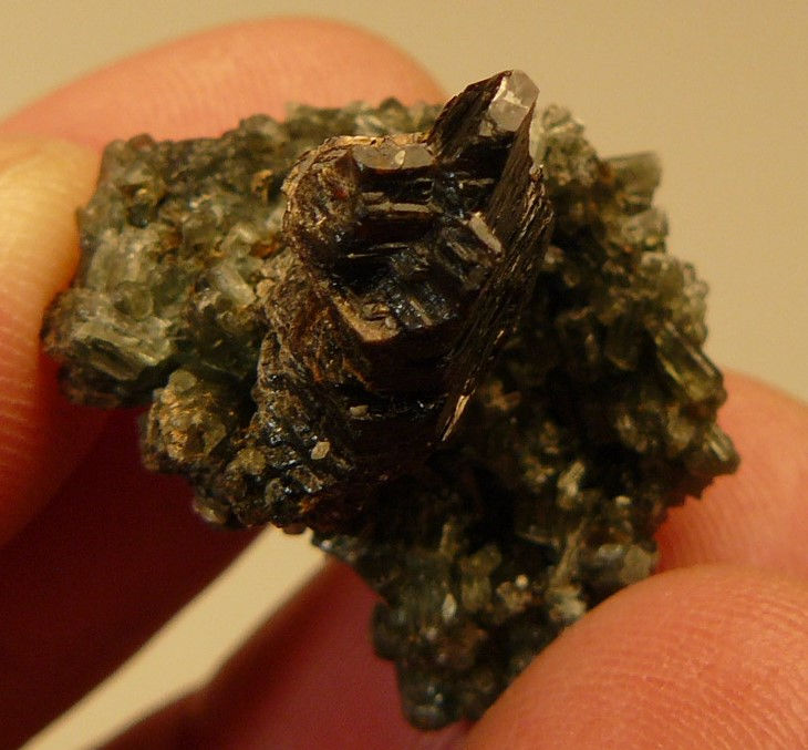 Thumbnail: Phlogopite and Tremolite