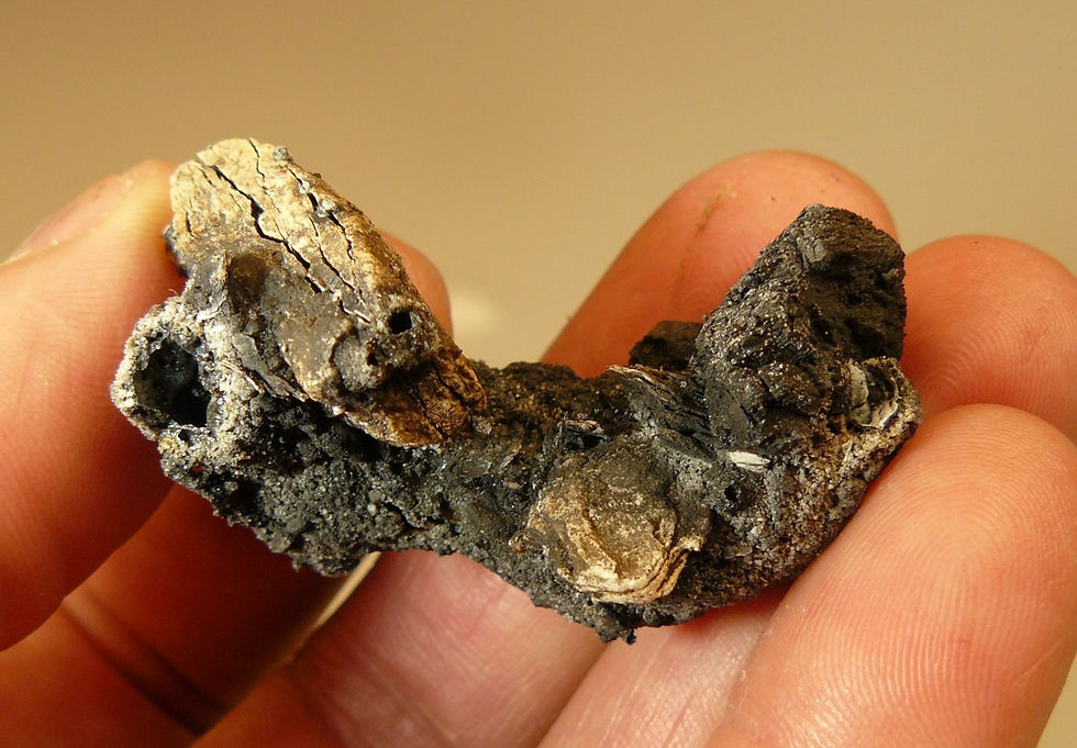 Thumbnail: Fulgurite