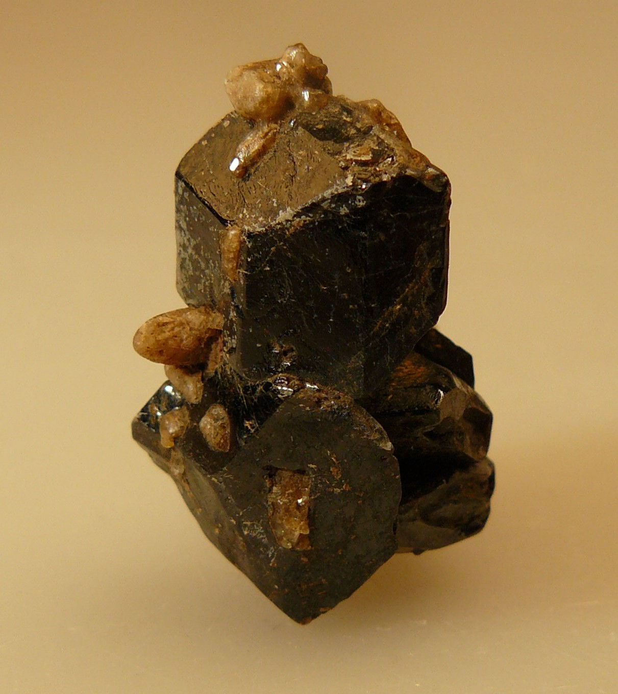 Titanite and Fluorapatite