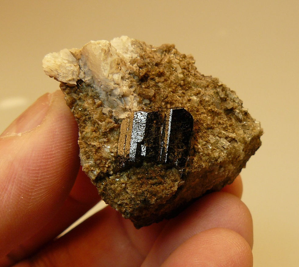 Thumbnail: Fluor-uvite on Tremolite