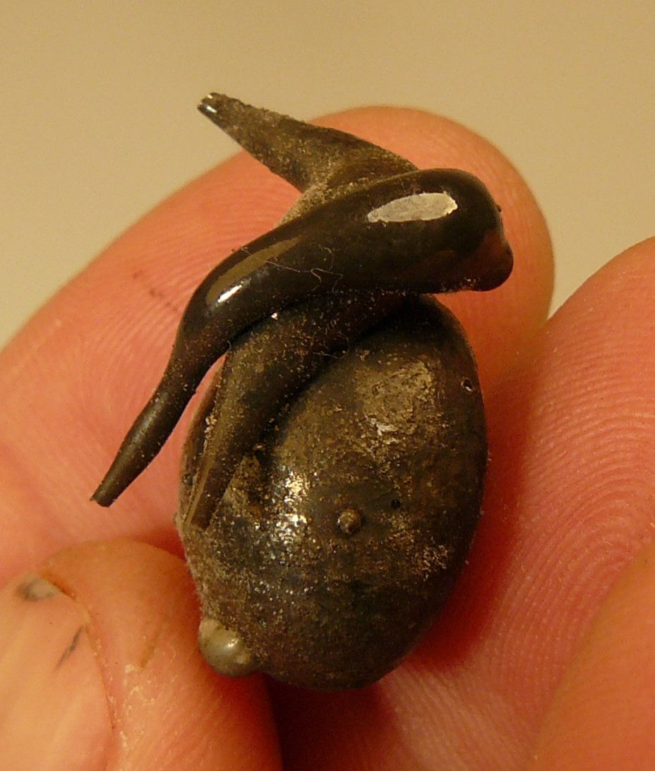 Thumbnail: Exogenic Fulgurite