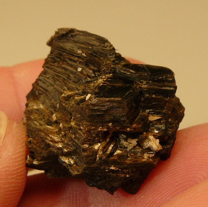 Thumbnail: Phlogopite