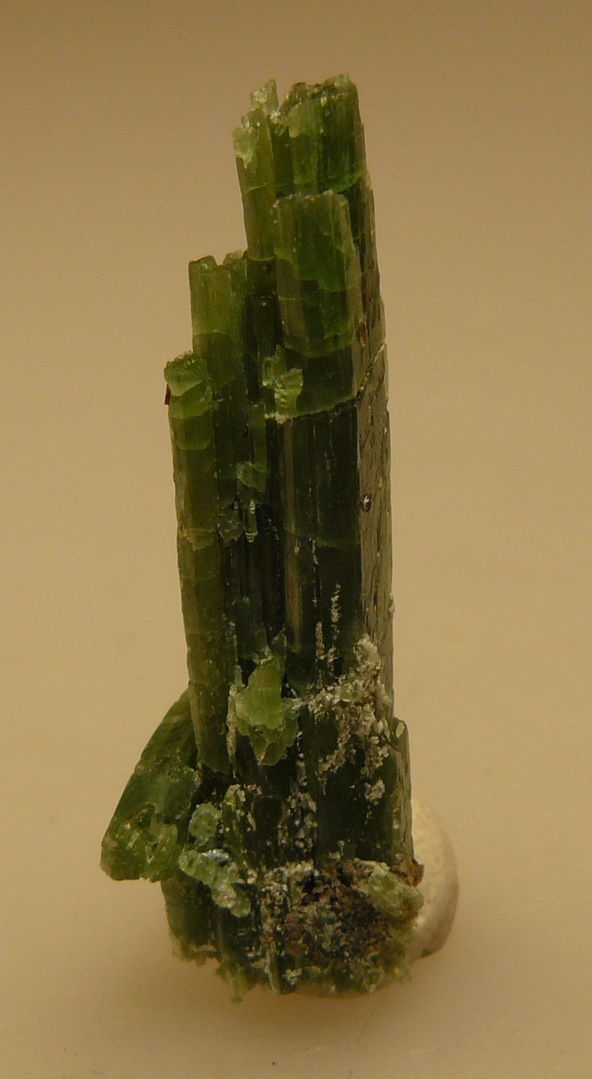 Thumbnail: Tremolite (variety Chromium) and Phlogopite