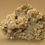 Thumbnail: Sphalerite on Dolomite