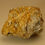 Thumbnail: Wulfenite