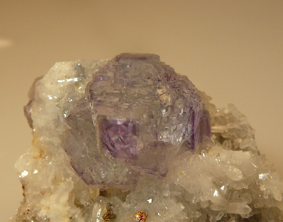 Thumbnail: Fluorite, Quartz, Pyrite