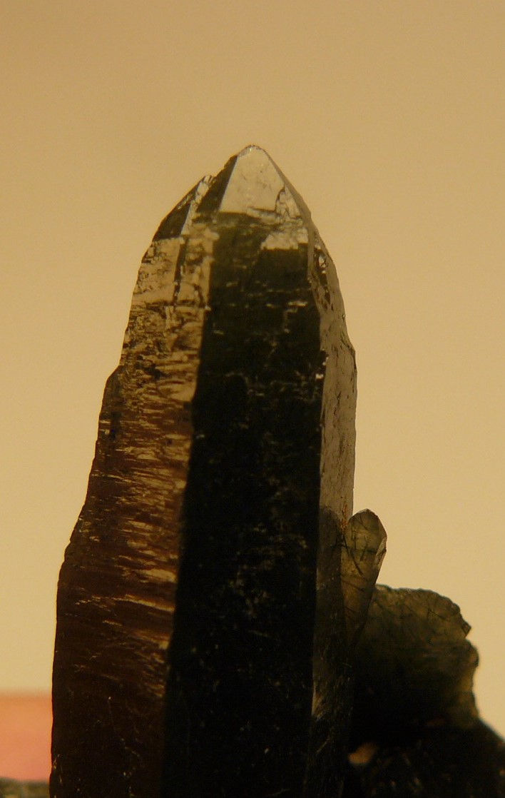 Thumbnail: Quartz included by Hedenburgite