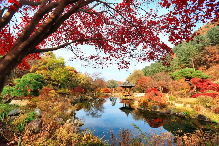 The Garden of Morning Calm