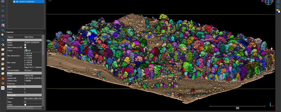 LiDAR tree surveying business.