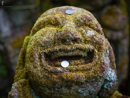 Awesome Two-Day Photo tour: Arashiyama, Kibune and Kurama
