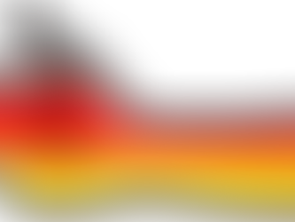 Neues Staatsangehörigkeitsgesetz 2024