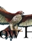 logo-color_edited.png