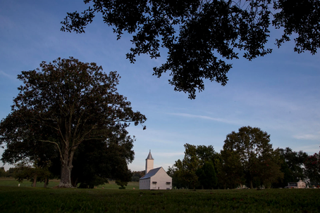 Cancer Alley—A Short Introduction