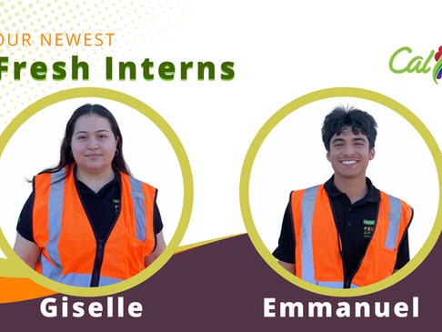 Two photos of interns with safety vests on.