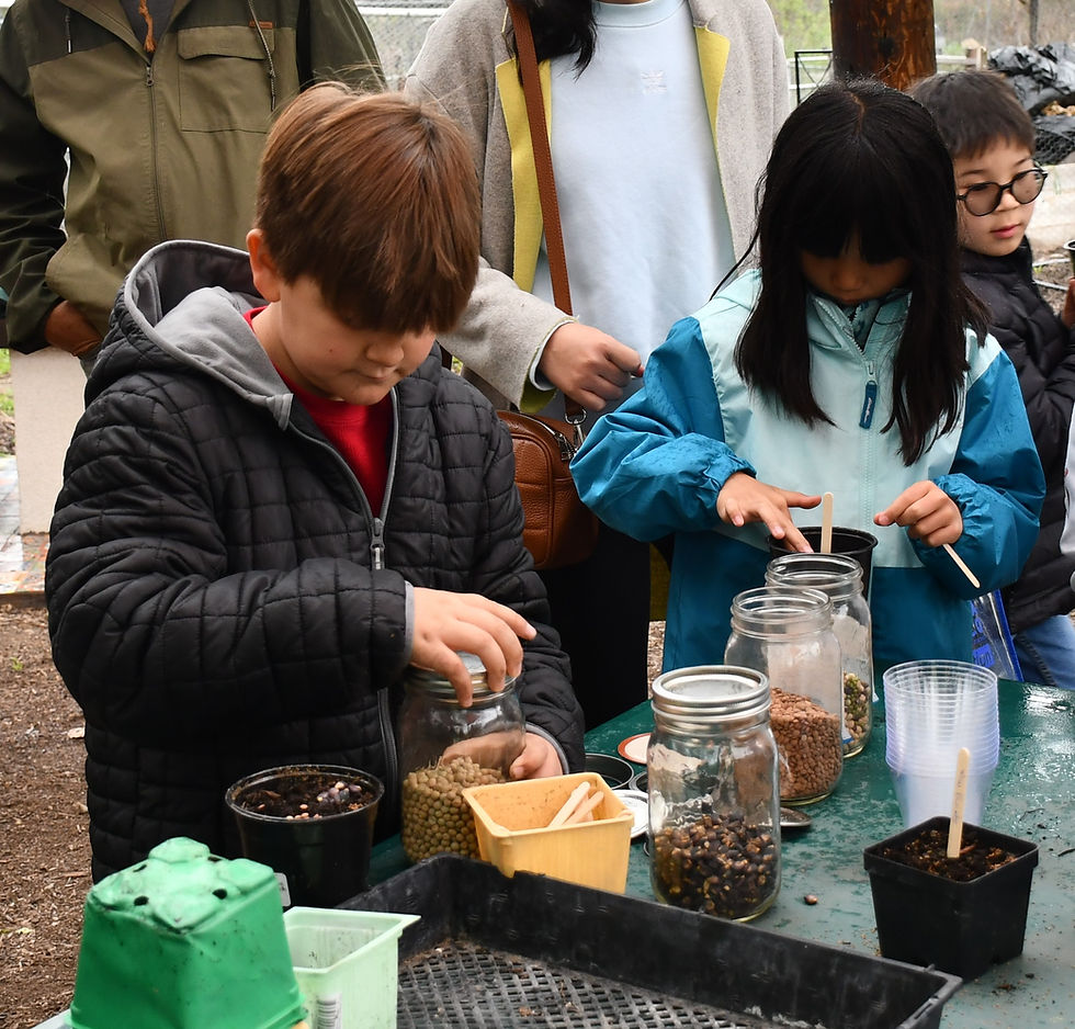FARSB TGIF students learning to grow their own food.