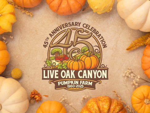Live Oak Canyon Logo with pumpkins in background.