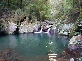 20180726_153345.jpg