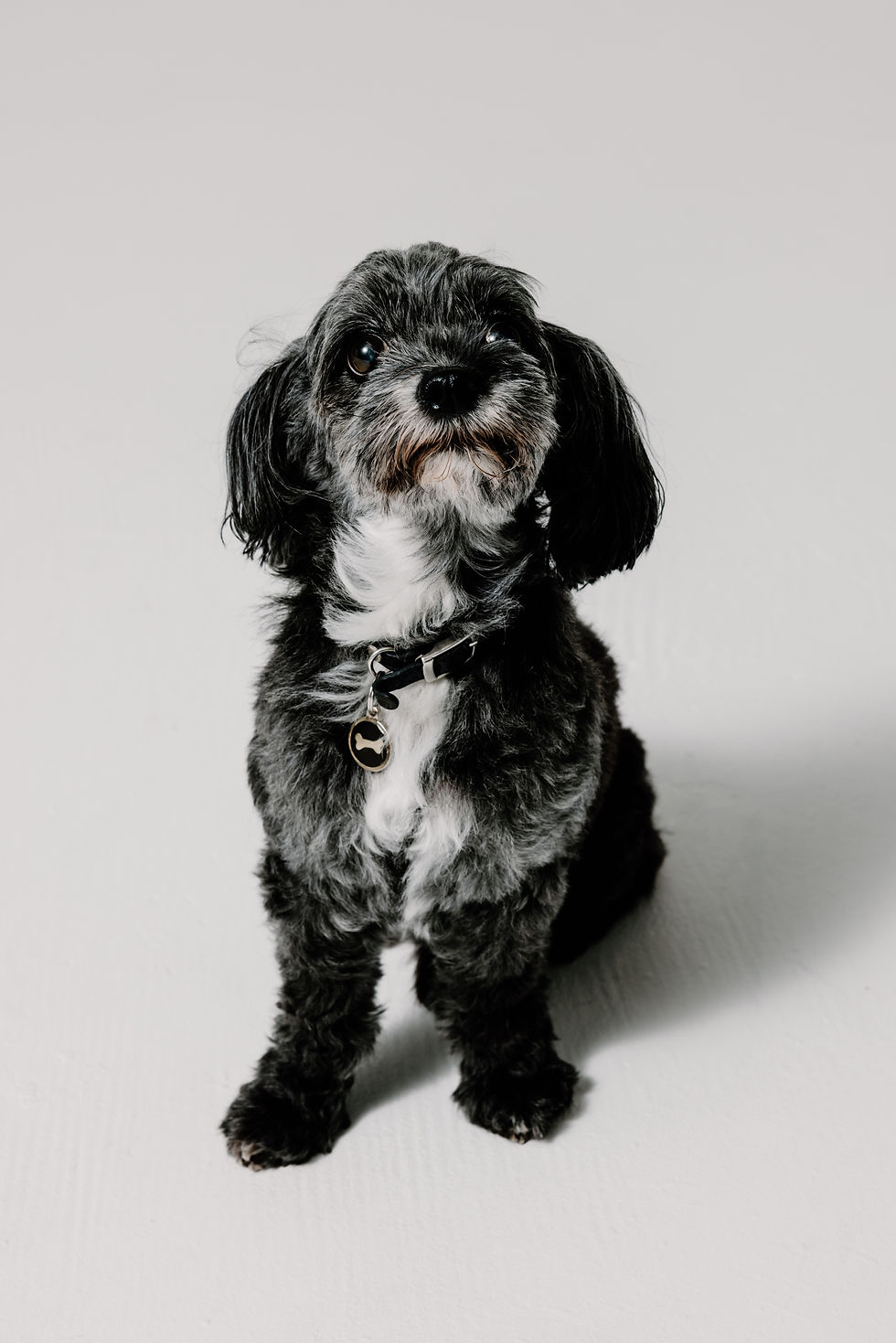 2024-MAY-10-ELEVER-CONTENT SHOOT-SWS-EDITED-29.jpg