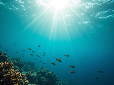Discover Underwater Wonders at Galápagos DiveLab