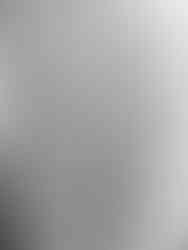 Arbre enneigé sur l'avenue Parmentier à Paris.