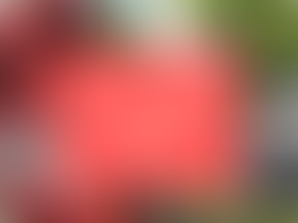 System Engineer and Web Designer