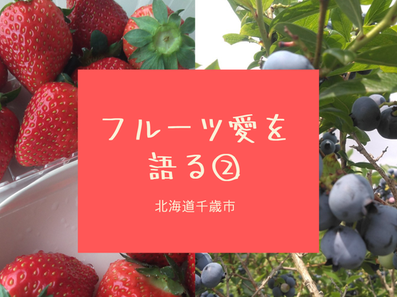 System Engineer and Web Designer