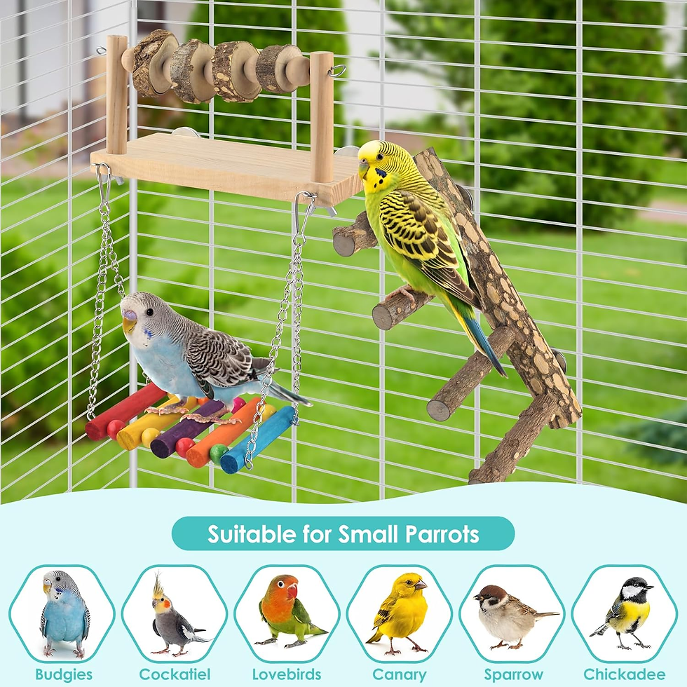Thumbnail: 4 Pcs Bird Perch with Swing, Parrot Perches Platform with Chew Blocks, Natural C