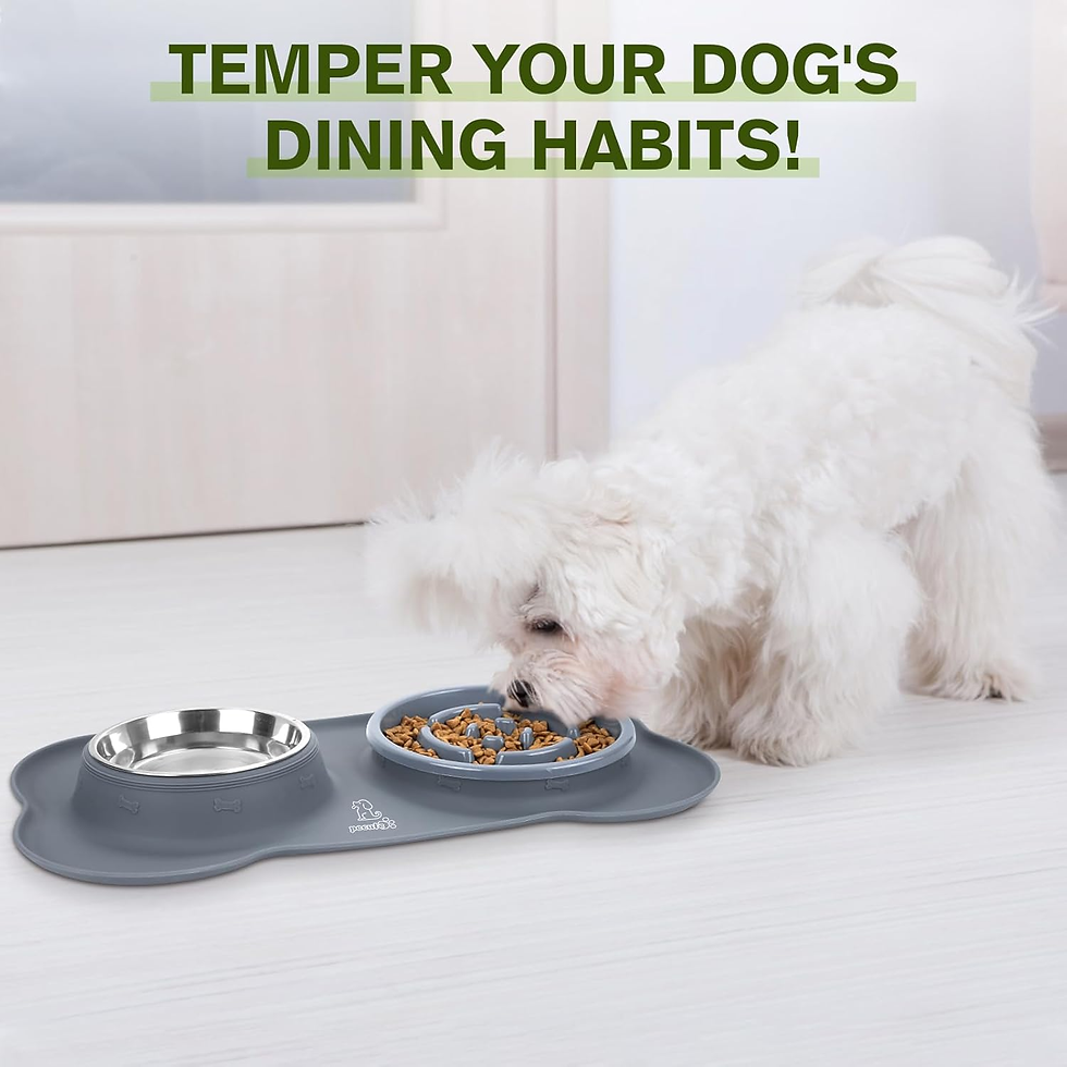 Thumbnail: Slow Feeder Dog Bowls to Slow down Eating, Dog Bowl Slow Feeder with No-Spill No