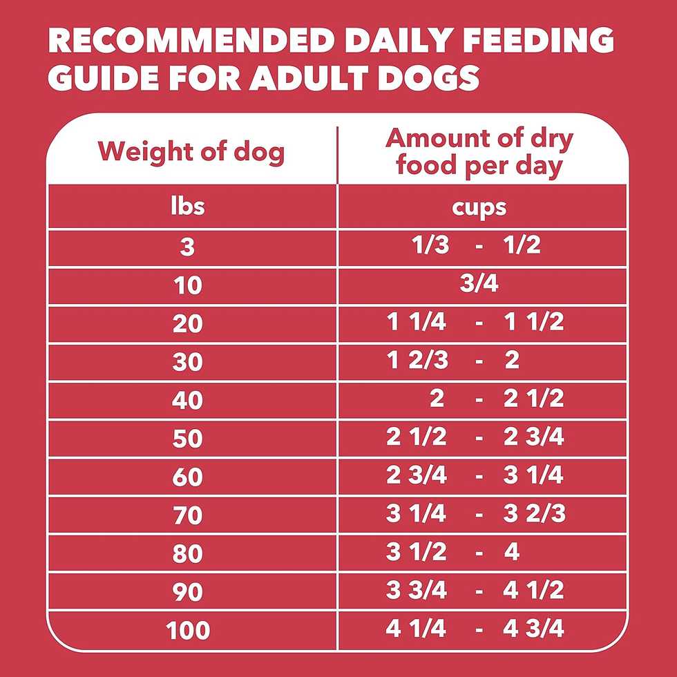 Thumbnail: Proactive Health Dry Dog Food, Adult Dog Food Dry Recipe, Lamb & Rice, 30 Lb. Ba