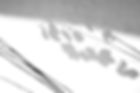 Lunaria shadows_edited.jpg