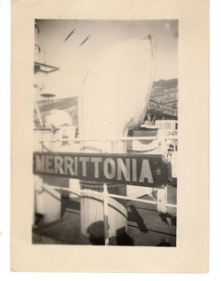 Merrittonia Name Plate