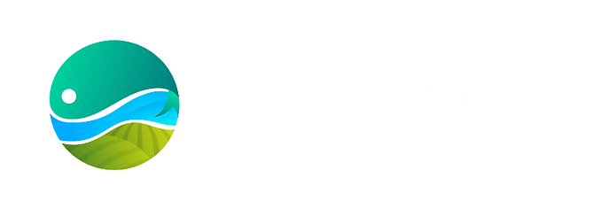 Prancheta 1.png.png