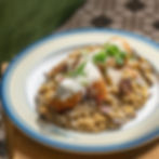 Porcini & Truffle Risotto with Chicken Roulade