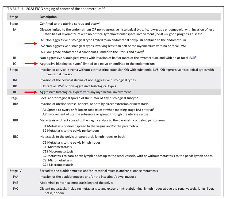 FIGO 2023 for endometrial cancer