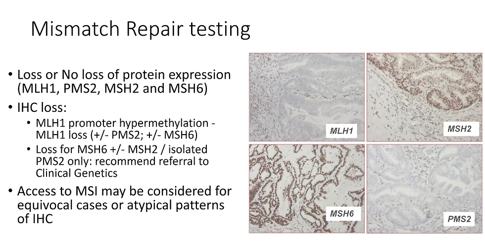 MLH1 and PMS2 are linked and MLH1 is the dominant; MSH2 and MSH6 are linked where MSH2 is the dominant. Important thing here is if you have loss of MLH1 with or without PMS2 or MSH6, do MLH1 promoter hyerpmethylation