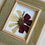 תמונה ממוזערת: pressed flowers art in a frame