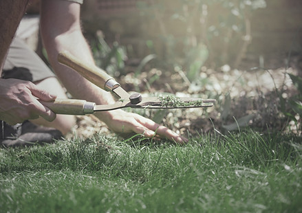 Landscaping-Contractor-Insurance