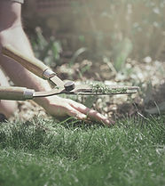 Grass Cutting