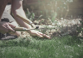 Grass Cutting