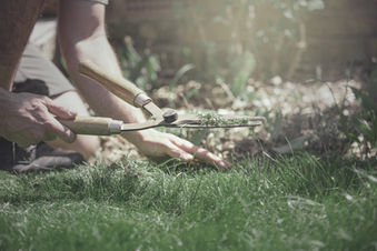 Taille manuelle des bordures de pelouse à l’aide d’une cisaille dans un jardin paysager.
